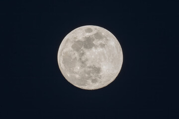 Full Moon Close Up with Detailed Craters Against Blue Night Sky
