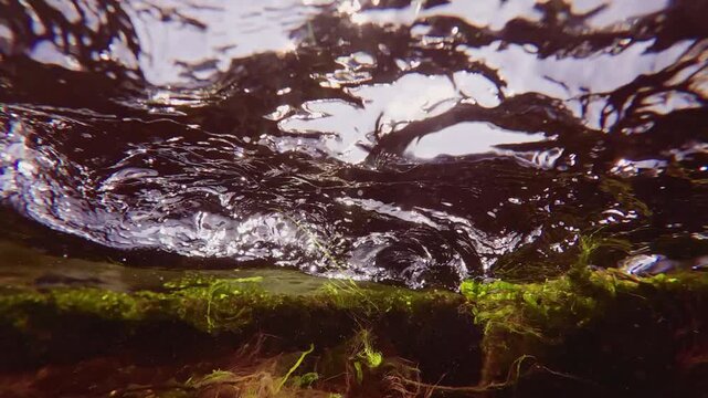 Close up of turbulent current on water surface during high tide in littoral zone over green and red algae on sky and bright sun background, backlight, slow motion