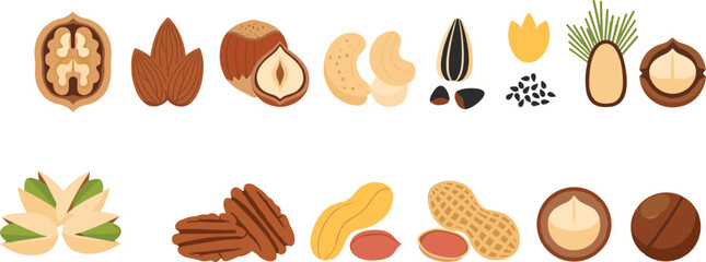 Vector Illustration Set of Healthy Nuts and Seeds Including Walnut Almond Hazelnut Cashew Peanut and Pistachio for Organic Food Packaging Design and Nutrition Education