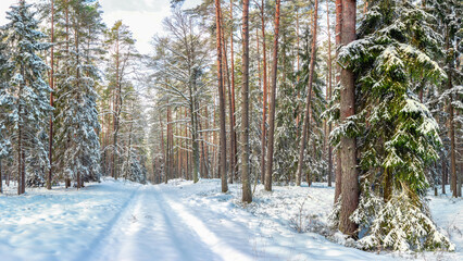  Zima na Mazurach. © Janusz Lipiński