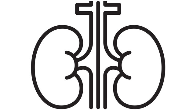Kidney icon in black outline showing human renal system and ureters, minimalist medical symbol for healthcare, nephrology, urology, diagnosis and treatment