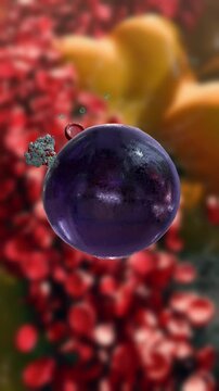 Insulin binding to cell receptors to control blood sugar and support glucose absorption in the body, insulin hormone into the bloodstream for glucose regulation in a detailed biological medical visual