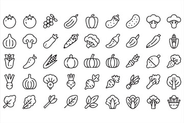 Vegetable and Organic Food Outline Icon Collection