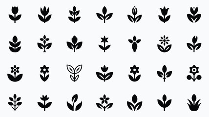 Fototapeta premium Collection of black floral icons and leaf symbols on white background for design and decoration purposes