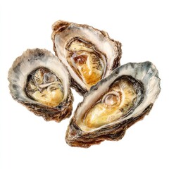 Three fresh oysters on the half shell, moist and glistening on white