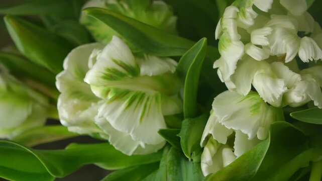 March 8th - a bouquet of flowers