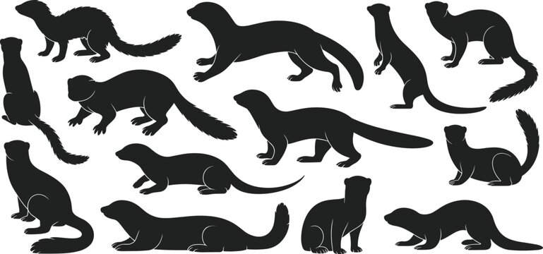 Ferret silhouette collection, weasel and marten vector set, small carnivore animal shapes, wildlife outlines, isolated mustelid graphics, nature icons, flat vector illustration.