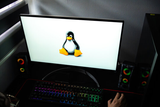 Punta Arenas, Chile &ndash; February 18, 2026: A person at a desk with Tux, the official Linux penguin mascot, displayed on a computer monitor