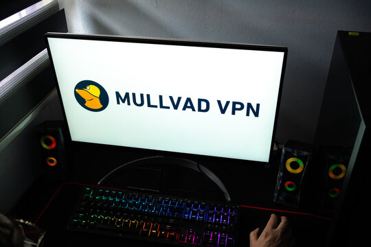 Punta Arenas, Chile &ndash; February 18, 2026: A person at a desk with the Mullvad VPN privacy service logo and mole mascot displayed on a computer monitor