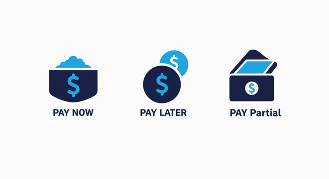 Payment options icons: pay now with cash, pay later with credit, and partial payment with wallet for financial transactions.