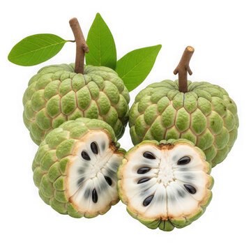 A close-up of custard apples with leaves on a white background