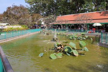 Naklejka premium in the royal resident park in siem reap in cambodia 