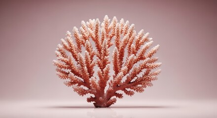 Coral reef coral pink background marine life