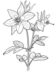Obraz premium floral coloring pages, flower coloring pages, botanical coloring, printable coloring pages, adult coloring pages, kids coloring pages, floral line art, flower line drawing, floral coloring book
