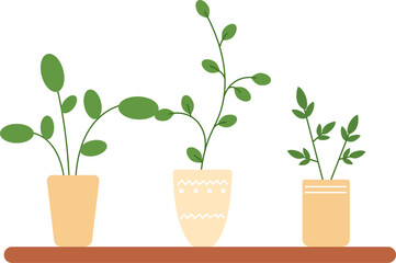 Obraz premium Urban jungle plants. Decorative interior green houseplants