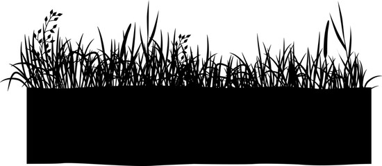 Growing grass black silhouette. Natural meadow border © LadadikArt