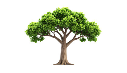 A large tree with green leaves stands alone on a black background