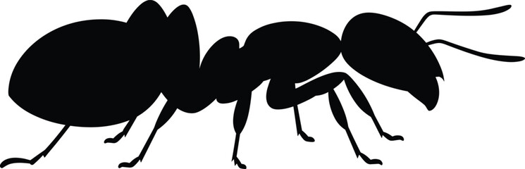 Ant insect silhouette vector, black bug illustration, side profile anatomy drawing, six legs, antennae, mandibles, educational biology design © Enamul