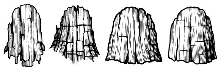 Set of four vertical wooden pillars or tree trunk segments with detailed texture and hatching © Cristiano