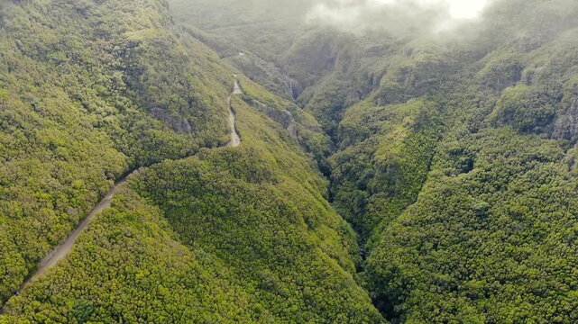 Drone shot above Levada do Alecrim, Madeira