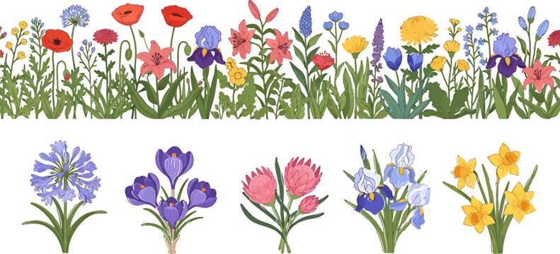 Vibrant Spring and Summer Flowers Vector Illustration Set with Seamless Border and Individual Bouquets