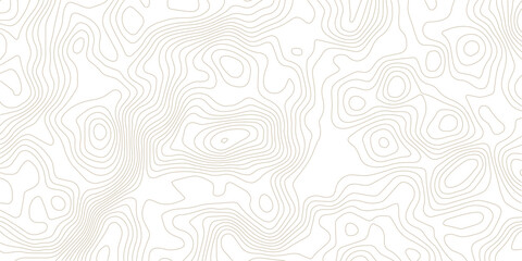 Vector geographic contour mounted map background. Abstract minimal The patter discovery vector topo map. Modern design with White background with topographic wavy pattern design. © NAZMA