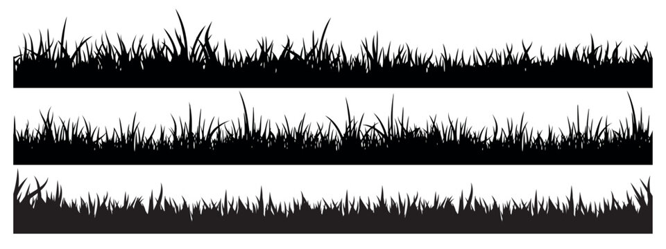 Set of horizontal black grass silhouette borders in line art style for nature landscape design, isolated on white background, vector illustration