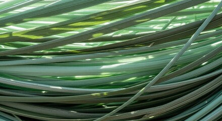 Vibrant green grass blades abstract texture background with natural light and organic pattern