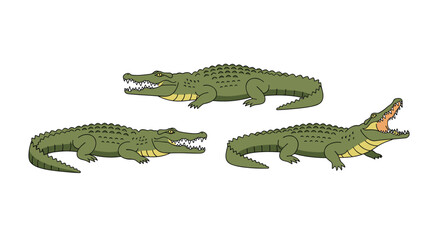 Fototapeta premium Three green cartoon crocodiles with powerful open jaws revealing sharp teeth in various side-view positions.