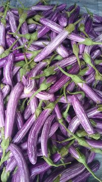 Fresh Purple Striped Eggplants Background, Organic Brinjal Vegetables Full HD