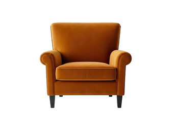 Stunning burnt orange velvet armchair with sleek black legs