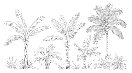 Vintage tropical jungle botanical sketch composition. © Joydeb