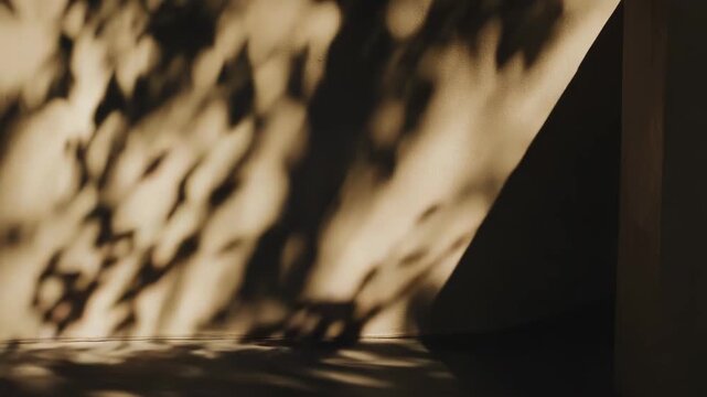 Tree leaves casting dappled shadows on a textured beige wall and floor, creating abstract natural patterns and sunlit geometric shapes in a tranquil setting