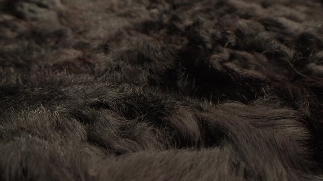 Texture of natural marten fur, luxury outerwear for women, soft fluffy surface of women's winter fur coat close-up for banners and posters.