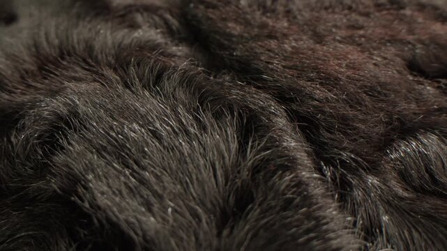 Texture of natural marten fur, luxury outerwear for women, soft fluffy surface of women's winter fur coat close-up for banners and posters.