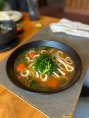Bowl of Udon Noodle Soup