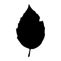 Broad Leaf Silhouette with Wavy Edge Botanical Design
