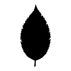 Oval Leaf Silhouette with Jagged Edge Botanical Art