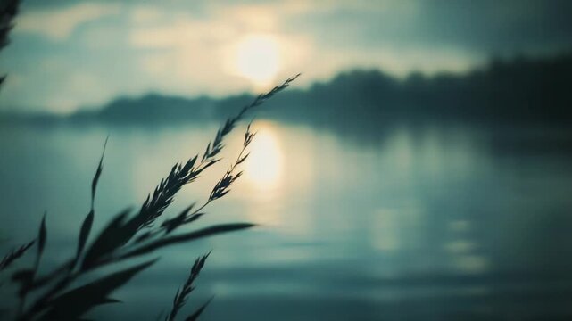 Reeds and tall grass grow on the shore of a tranquil lake, reflecting the soft, warm light of the rising sun on a foggy morning, creating a serene and peaceful natural scene
