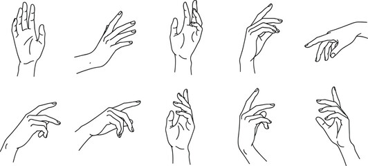 Solid silhouette vector elegant female hands collection, diverse graceful hand gestures and poses for beauty and wellness branding design © Nahl