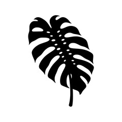 Monstera Deliciosa Leaf Silhouette Isolated on White Background