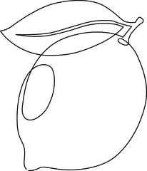 A detailed drawing of a lemon with a leaf and stem. Vector