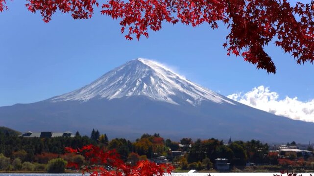 Mount Fuji with red autumn maple leaves and Lake Kawaguchi. bright red maple branches in the foreground, with the shores of Lake Kawaguchi. 
