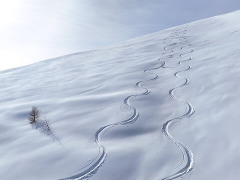 curving ski tracks etched into the pristine, snow-covered landscape, creating a mesmerizing pattern of light and shadow,