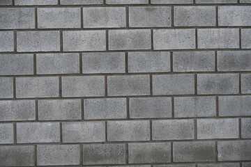 Fototapeta premium beautiful texture and beautiful background