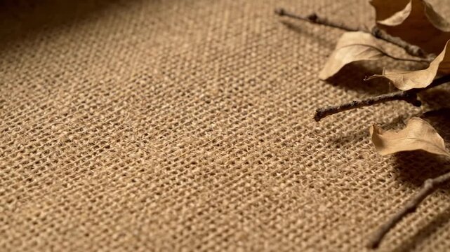 Natural autumn composition with dry leaves and twigs on a rustic burlap fabric. Earthy tones and organic texture for a seasonal panoramic banner or background with copy space