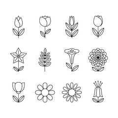 Tulip and Daisy Floral Line Art