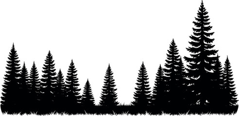 Black silhouette of a coniferous pine forest with evergreen fir trees and grass isolated on a white background for nature design © Shapla