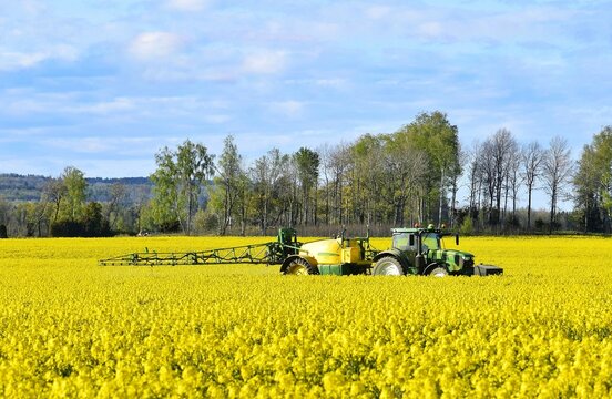 A tractor with a sprinkler works in a rapeseed field.
May 6, 2025, Sweden
