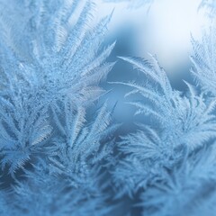 Intricate frost patterns on window surface in wintertime blues